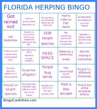 FLORIDA HERPING BINGO 