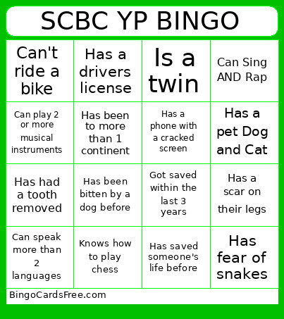 For Youth Progrm Bingo Card