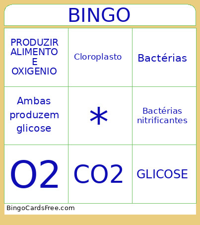 FOTOSSINTESE E QUIMIOSSINTESE Bingo Card