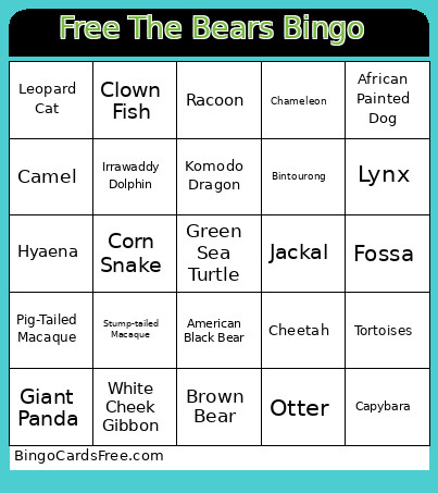 The Bears Bingo Card