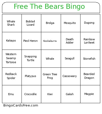 The Bears (Australiasian Animals) Bingo Card