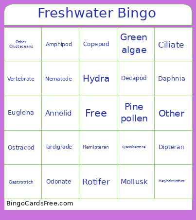 Freshwater Bingo Card