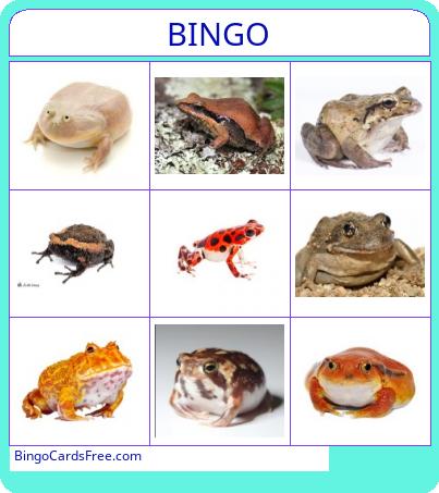 Frog Bingo Cards Free Pdf Printable Game, Title: BINGO