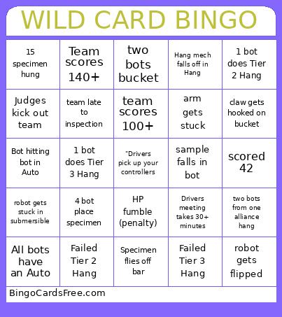 FTC WILD Bingo Card