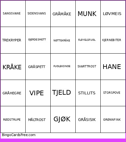 Fuglen Bingo Card