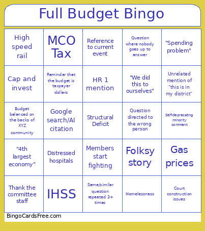Full Budget Bingo Card