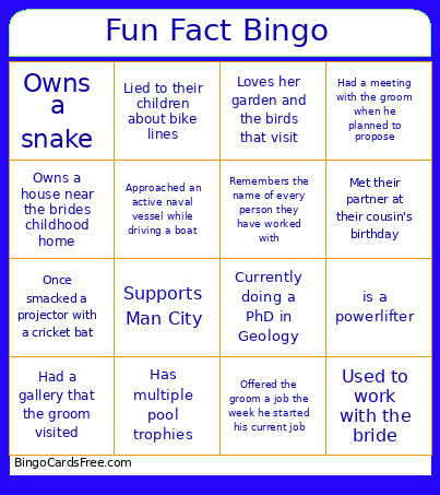 Fun Fact Bingo Card