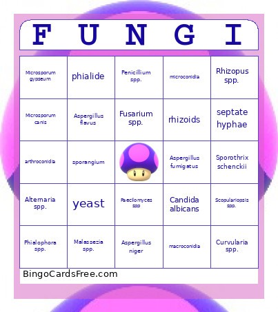 FUNGI Bingo Card