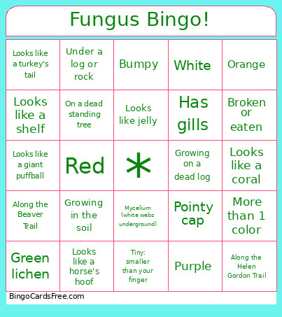 Fungus ! Bingo Card