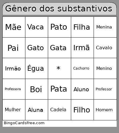 Gênero Dos Substantivos Bingo Card