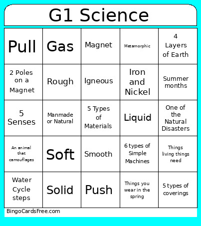 G1 Science Bingo Card