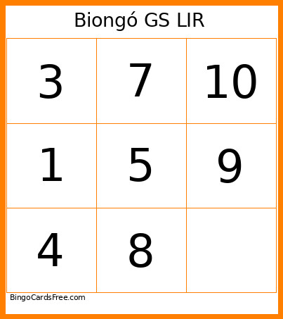 Gaelscoil Lir Bingo Card