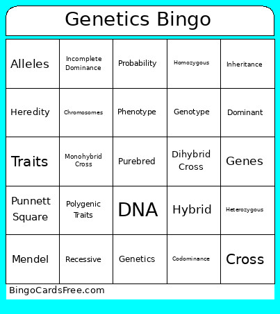 Genetics Bingo Card