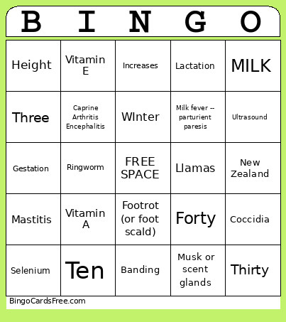 GOAT Bingo Card