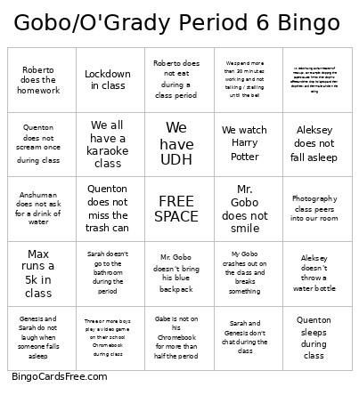 Gobo/O'Grady Period 6 Bingo Card