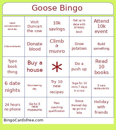 Goose 2025 Bingo Card