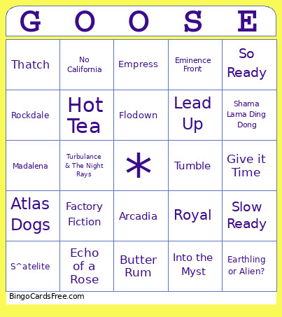 Goose Concert Bingo Card