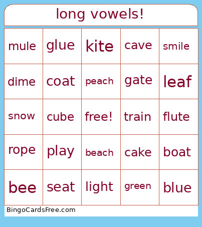 Grades 2&3 Long Vowel Bingo Card