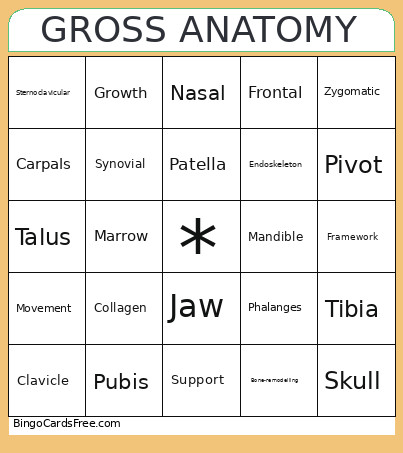 GROSS ANATOMY Bingo Card