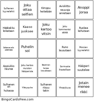 Hää_Niko Bingo Card