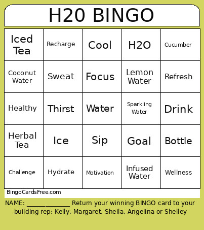 H20 Bingo Card
