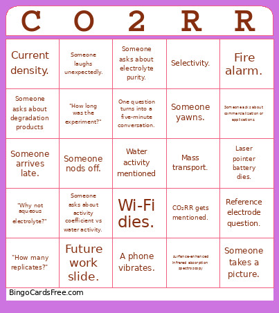 Hannah's Thesis Defense Bingo Card