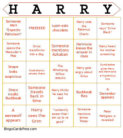 Harry Potter And The POA Bingo Card