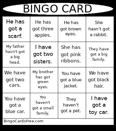 Have Got / Has Got Bingo Card