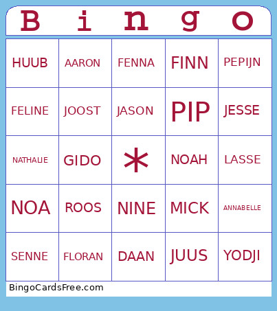 Havo5A Bingo Card