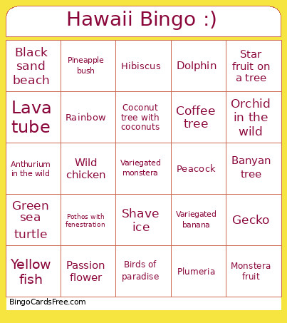 Hawaii :) Bingo Card