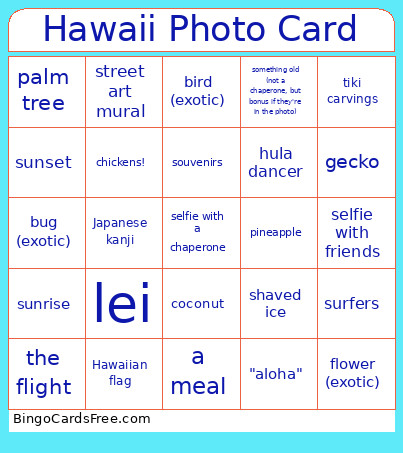 Hawaii Photo Bingo Card