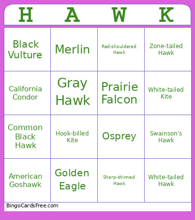 Hawk Bingo Card