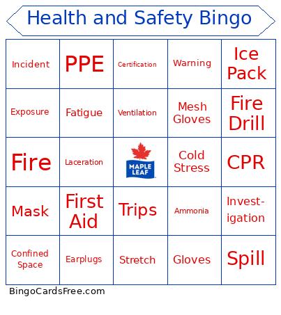 HSSSE Bingo Cards Free Pdf Printable Game, Title: Health and Safety Bingo