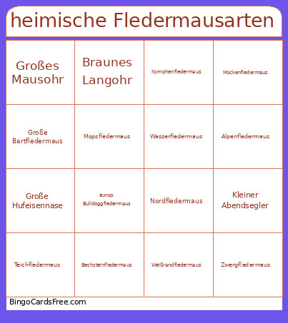 Heimische Fledermausarten Bingo Card