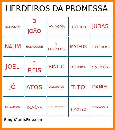 HERDEIROS DA PROMESSA Bingo Card 2