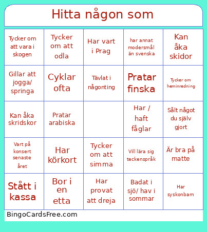 Hitta Någon Som Bingo Card