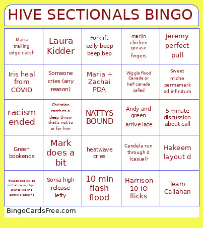 HIVE SECTIONALS Bingo Card