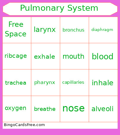 HMS Pulmonary System Bingo Card