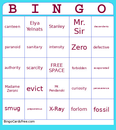 HOLES Ch 1-16 Vocab Bingo Card