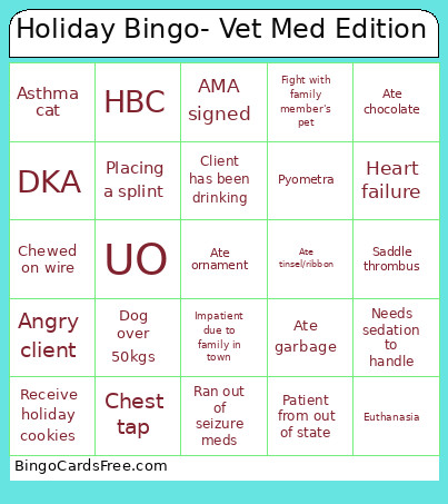 Holiday - Vet Med Edition Bingo Card