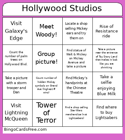 Hollywood Studios Bingo Card