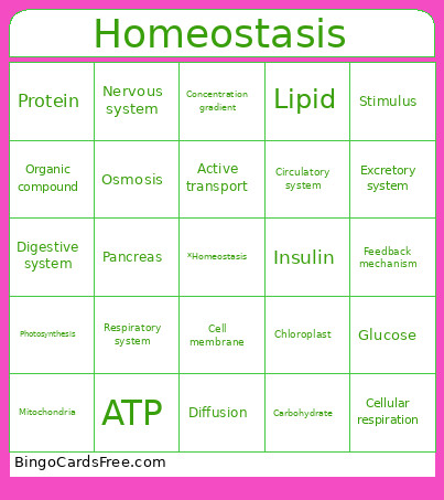 Homeostasis Bingo Card