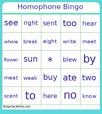 Homophone Bingo Card