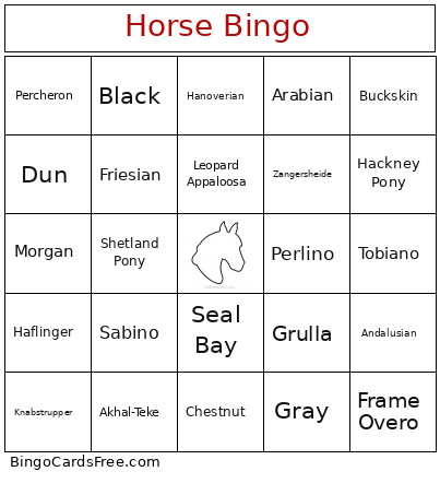 Horse Bingo Card