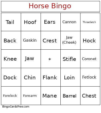 Horse Bingo Card