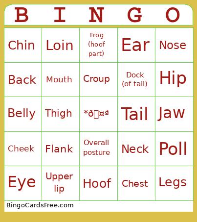 Horse body language  Bingo
