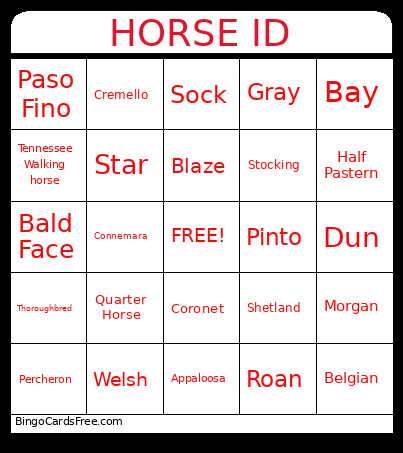 Horse ID Bingo Card