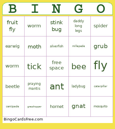 House Bug Bingo Card