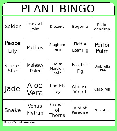 House Plants Bingo Card