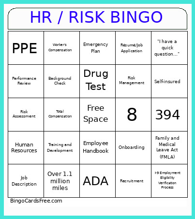HR / RISK Bingo Card